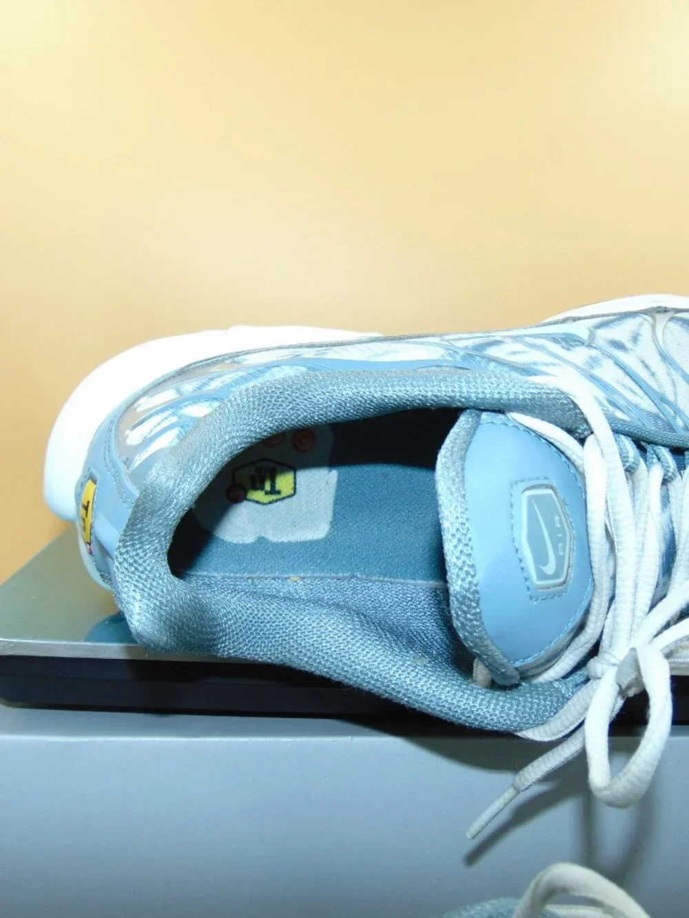 Size 12 - Nike Air Max Plus Palm Pack - Waterway